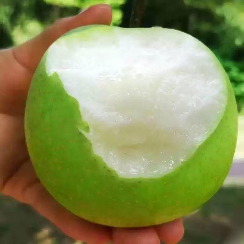 鲜速达鲜果果园