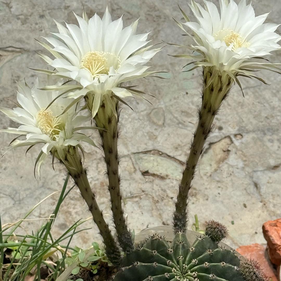 ༊ঞ保你⁵²⁰兴王ꦿ💞᭄ོ࿐ᩚ