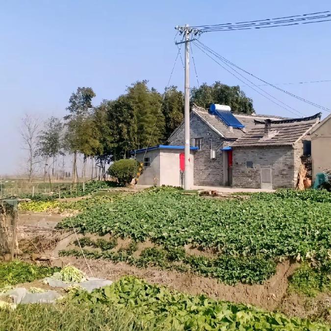小白不忘初心