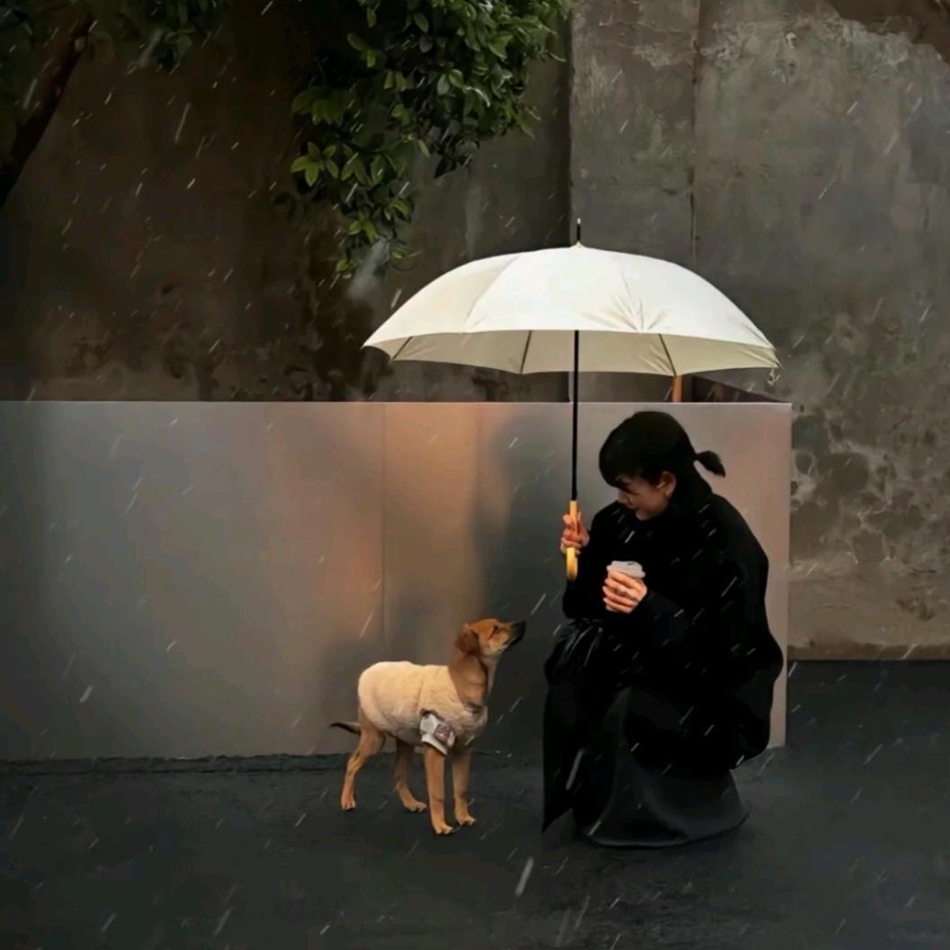 小莫睡觉呼噜噜