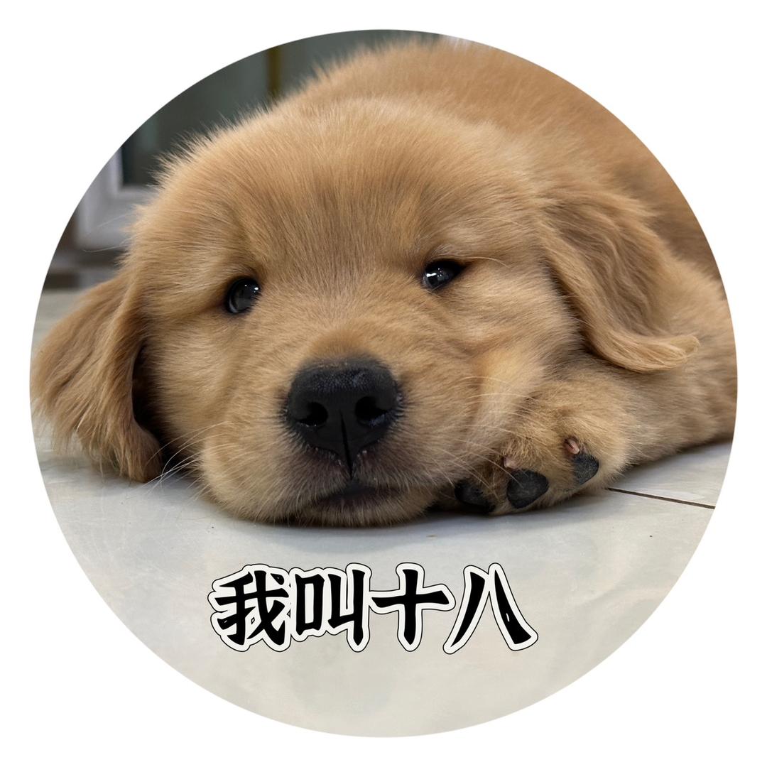 张十八🐶