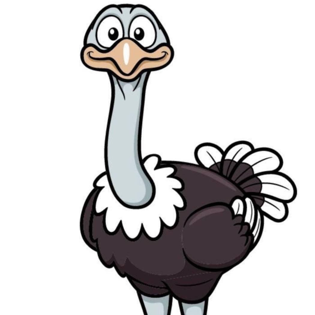 贵州镇宁鸵鸟养殖🇨🇳