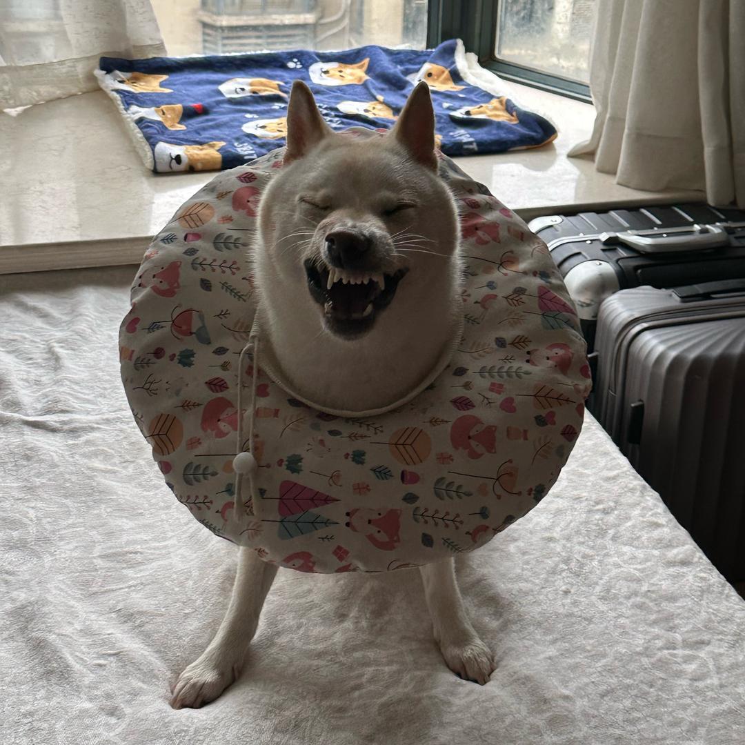 小荪儿