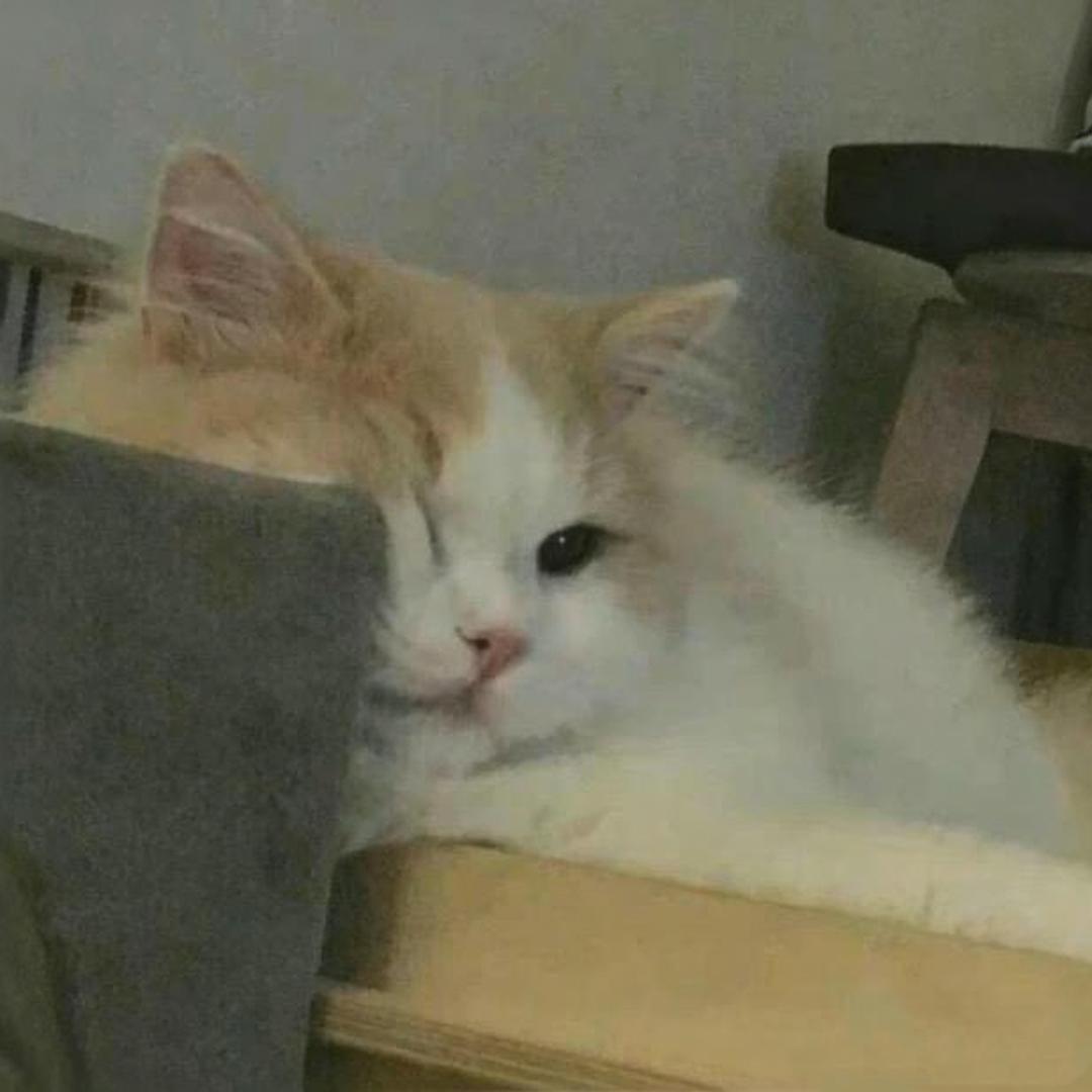 一一付七七