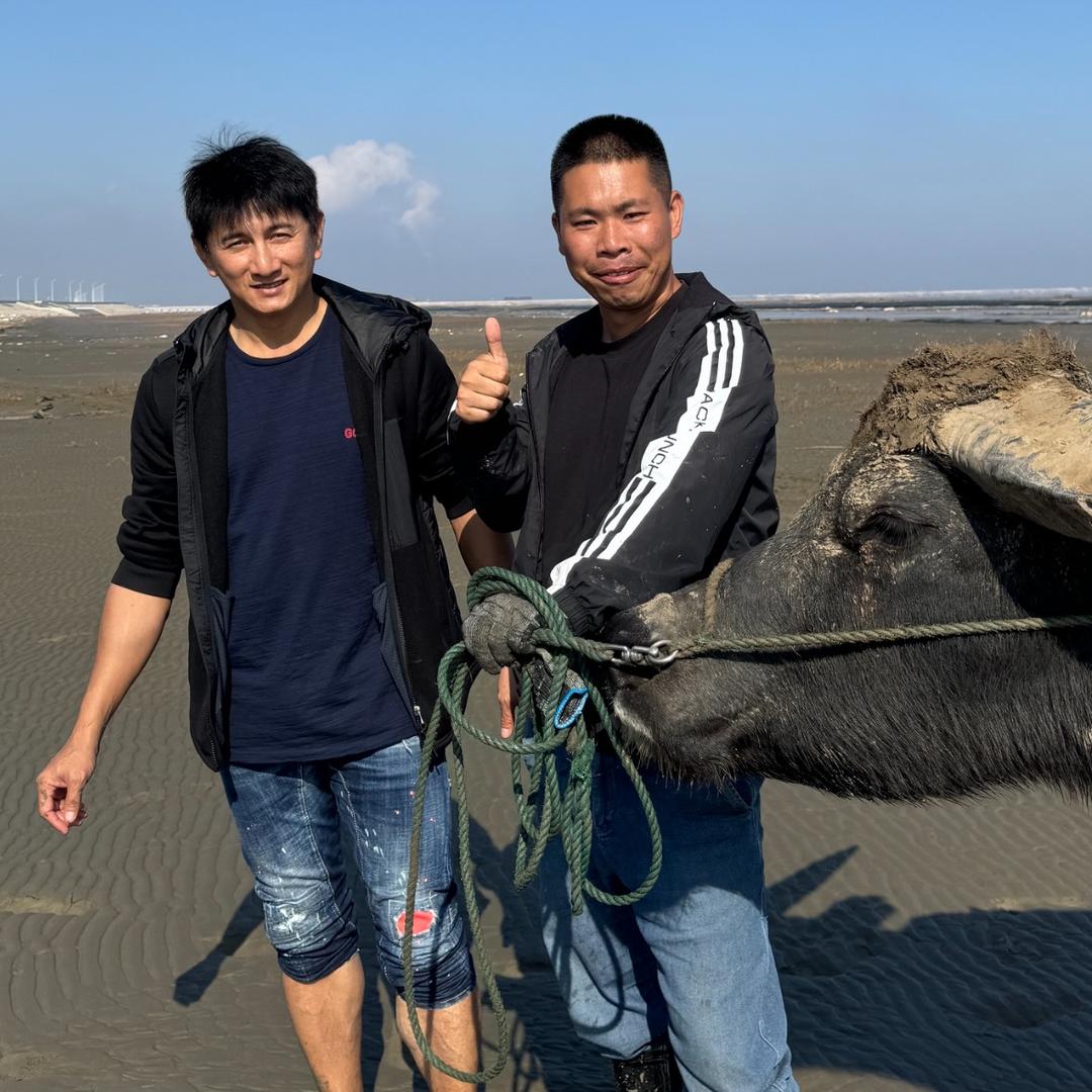 启东黑沙滩牛车赶海