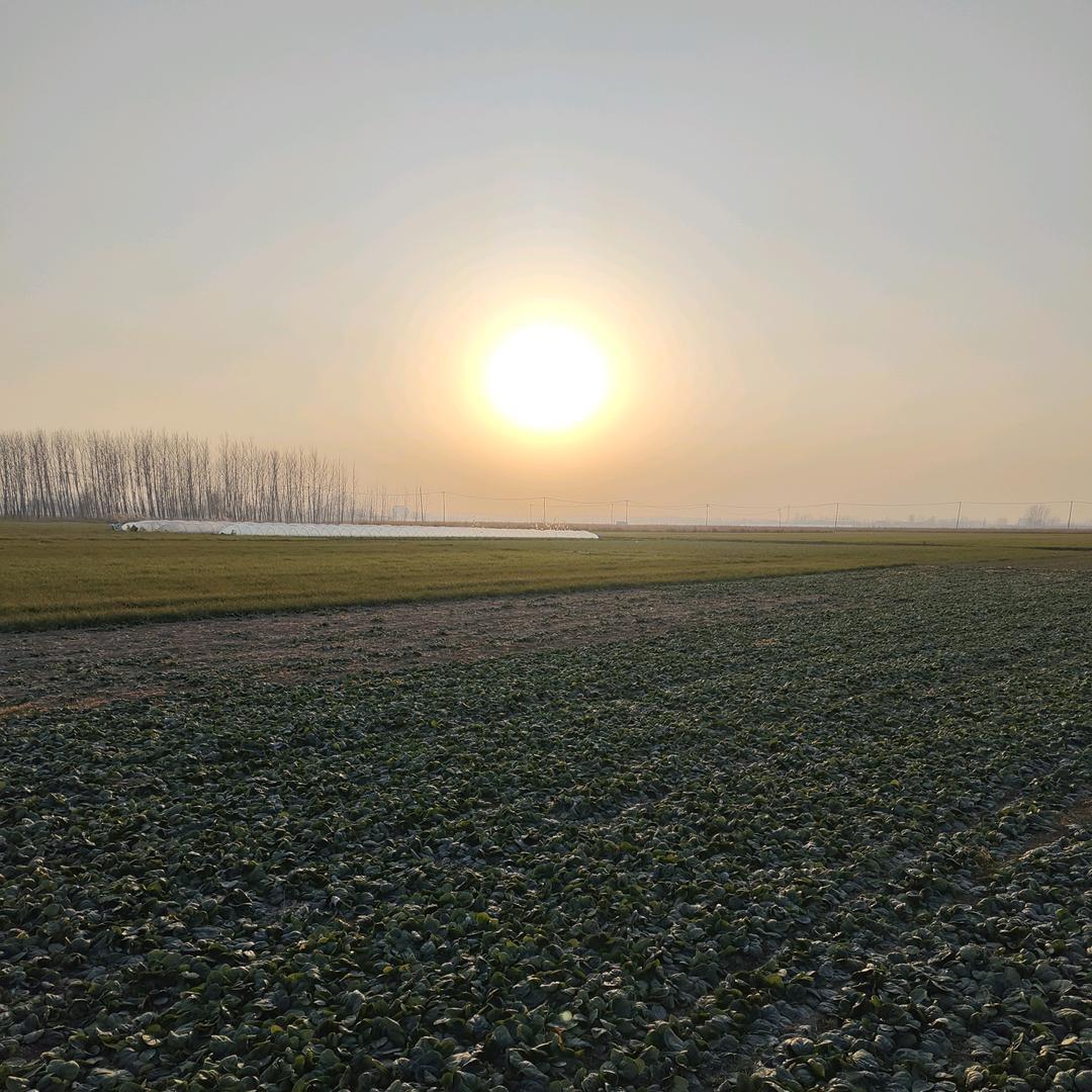 老农民农产品小铺