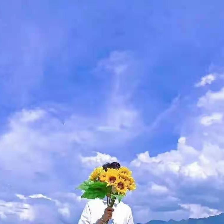 南瓜头