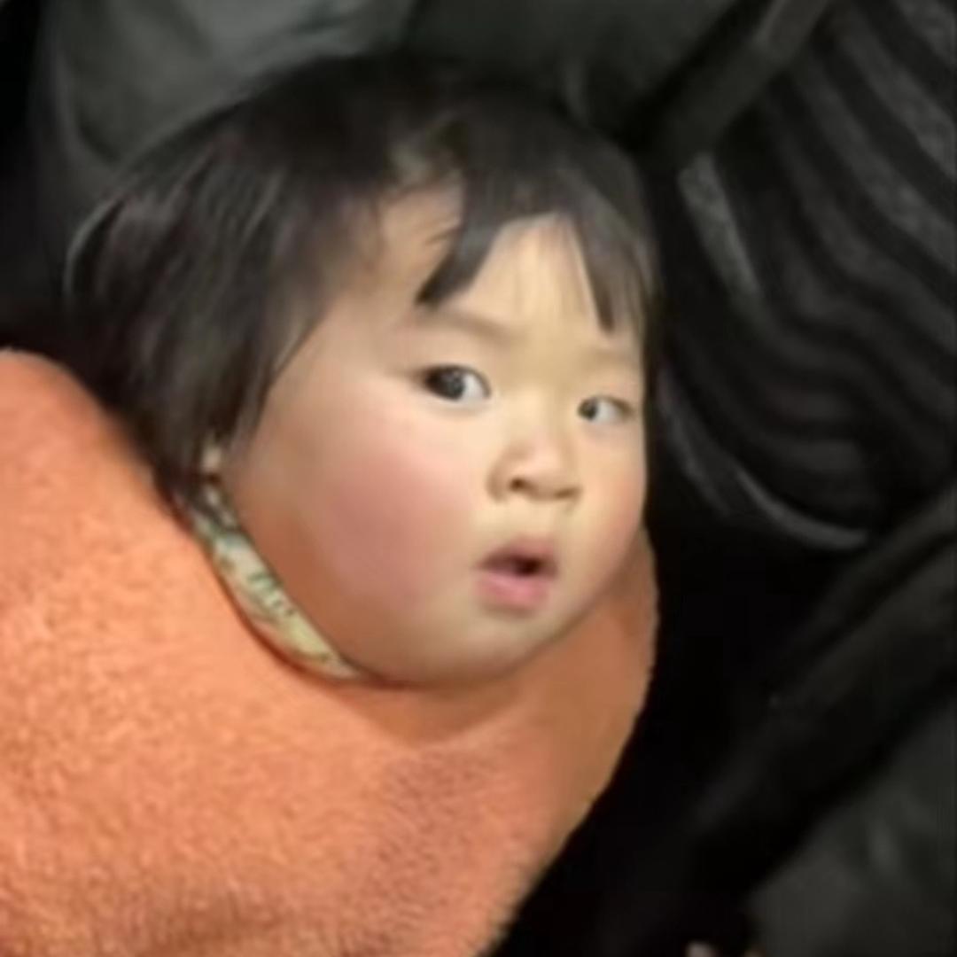 美丽的狗屎