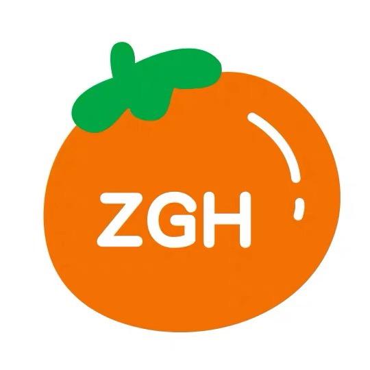 ○╃°.○ ZGH