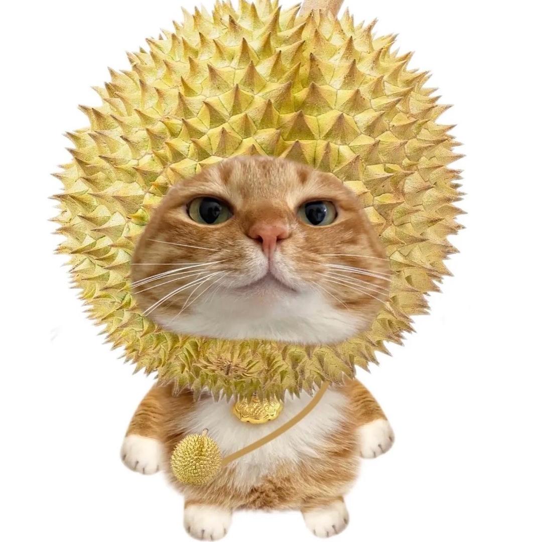 思