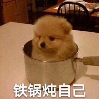 June_头像