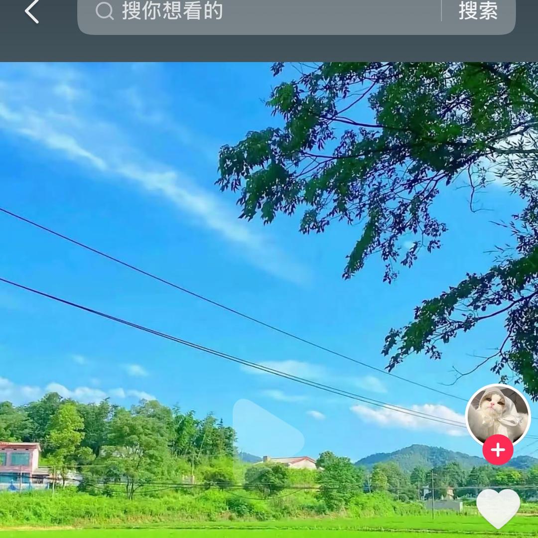 物语