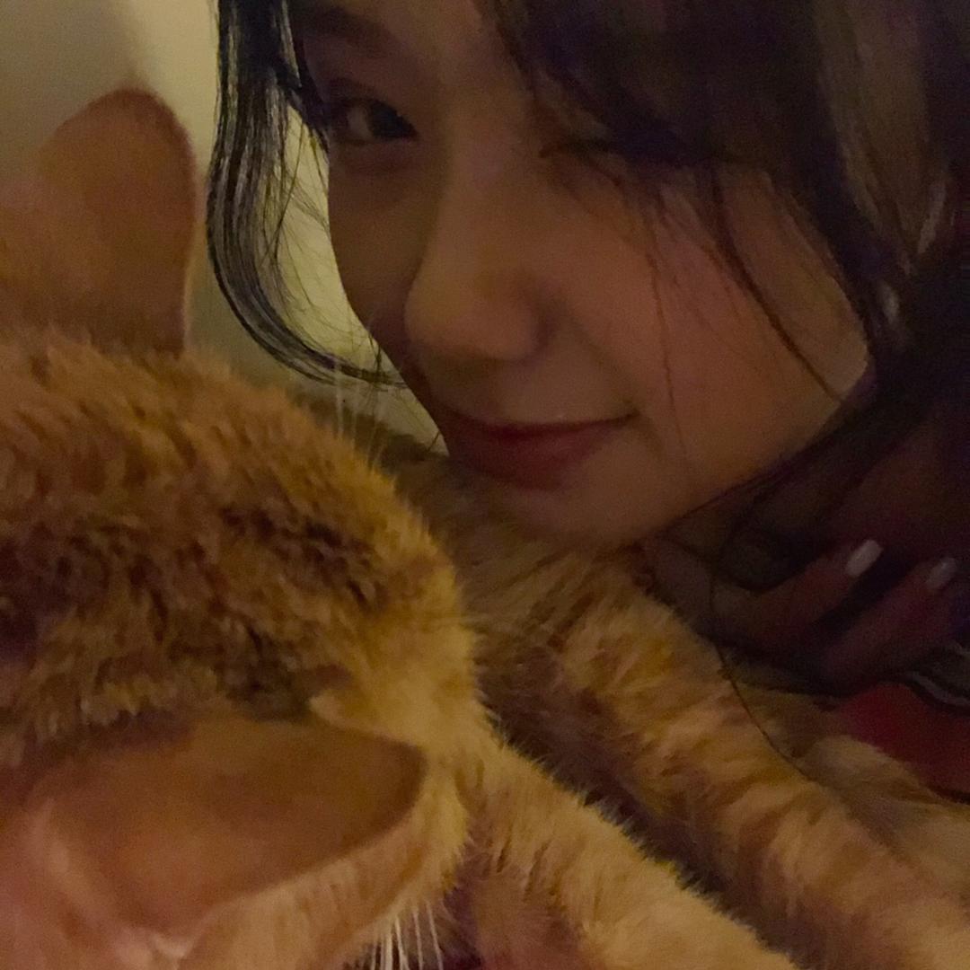 张不甜