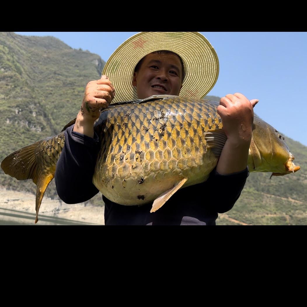 野钓喜哥