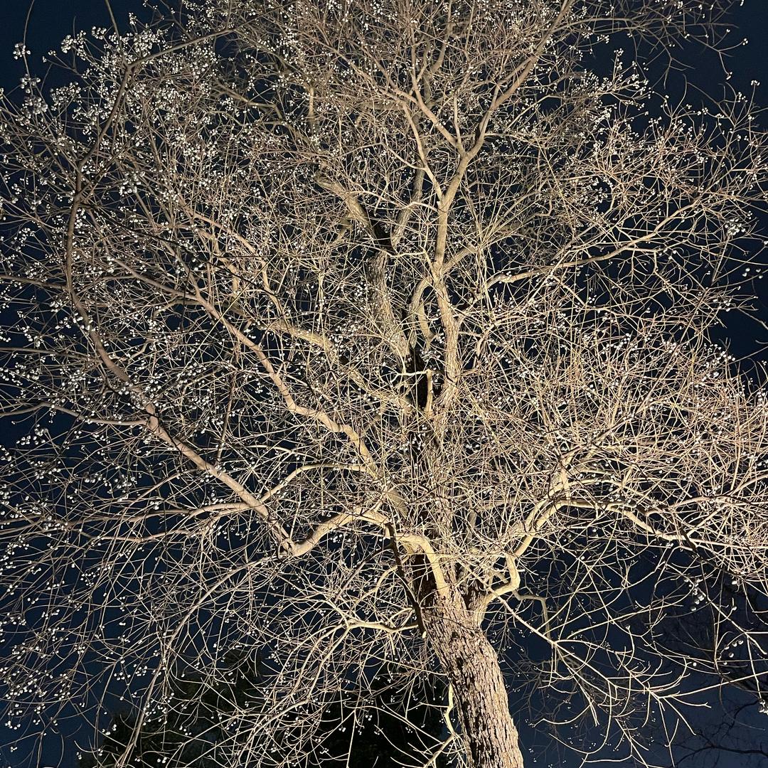 泰州万达孩子王｜洋洋妈妈