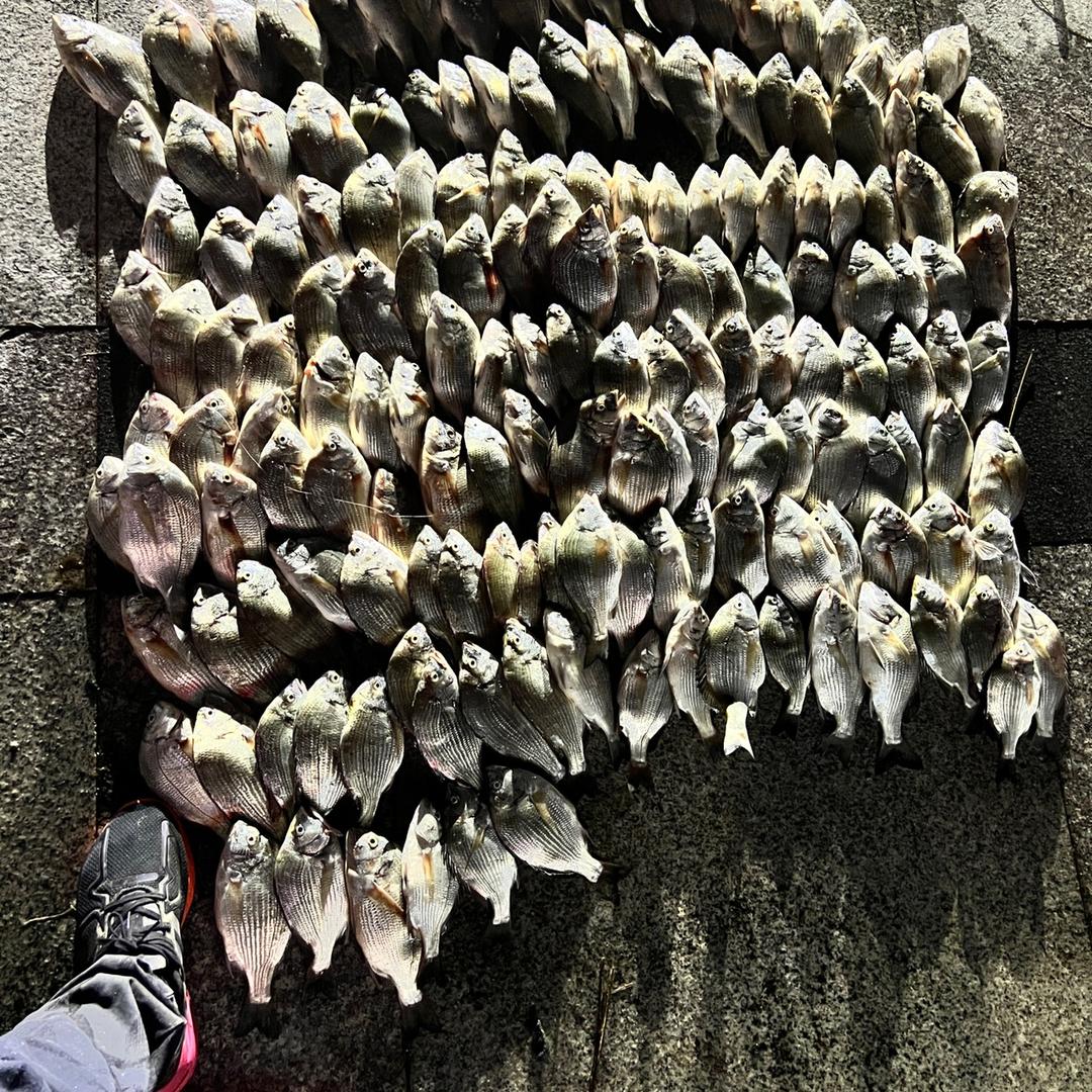 哦豁