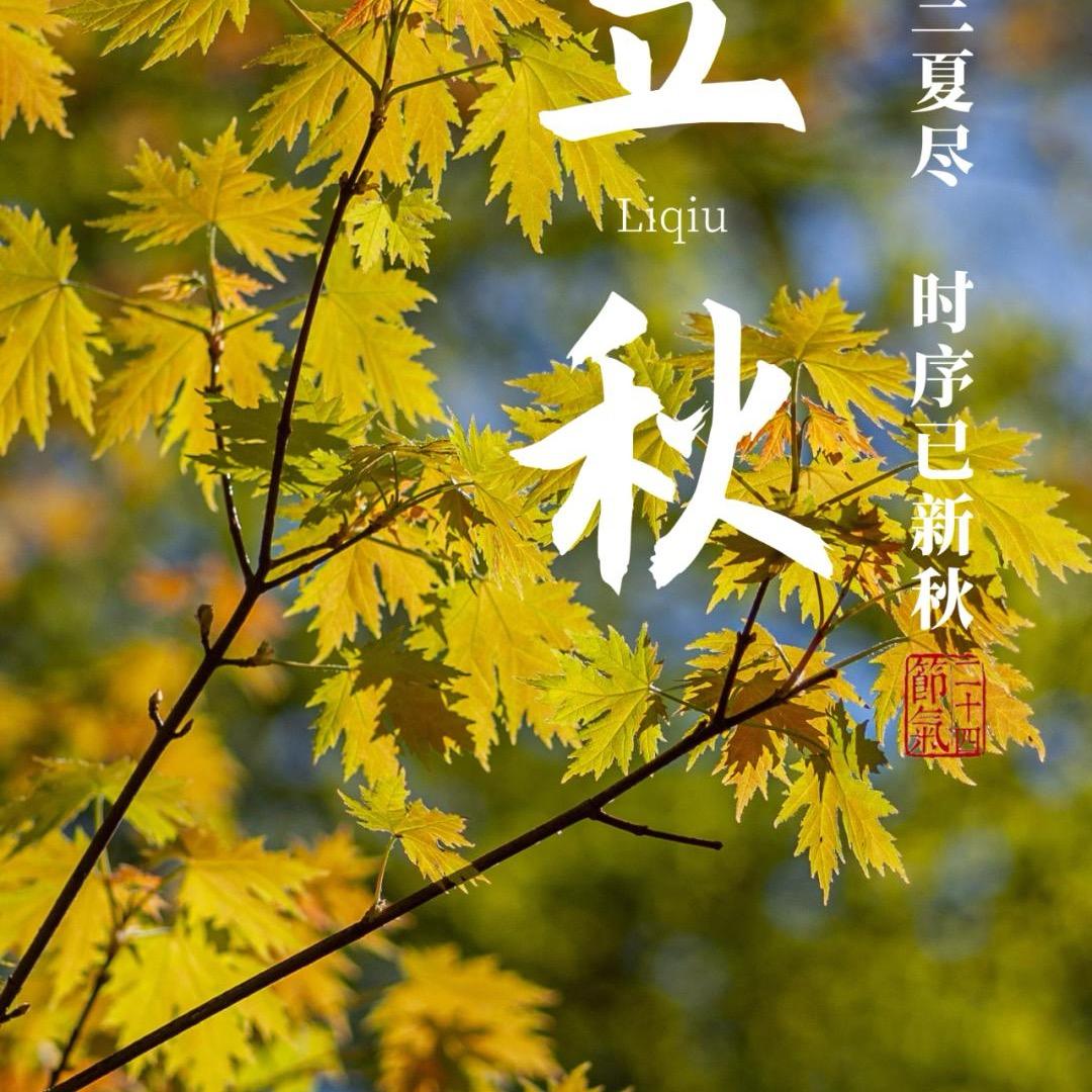 @梦乡之旅