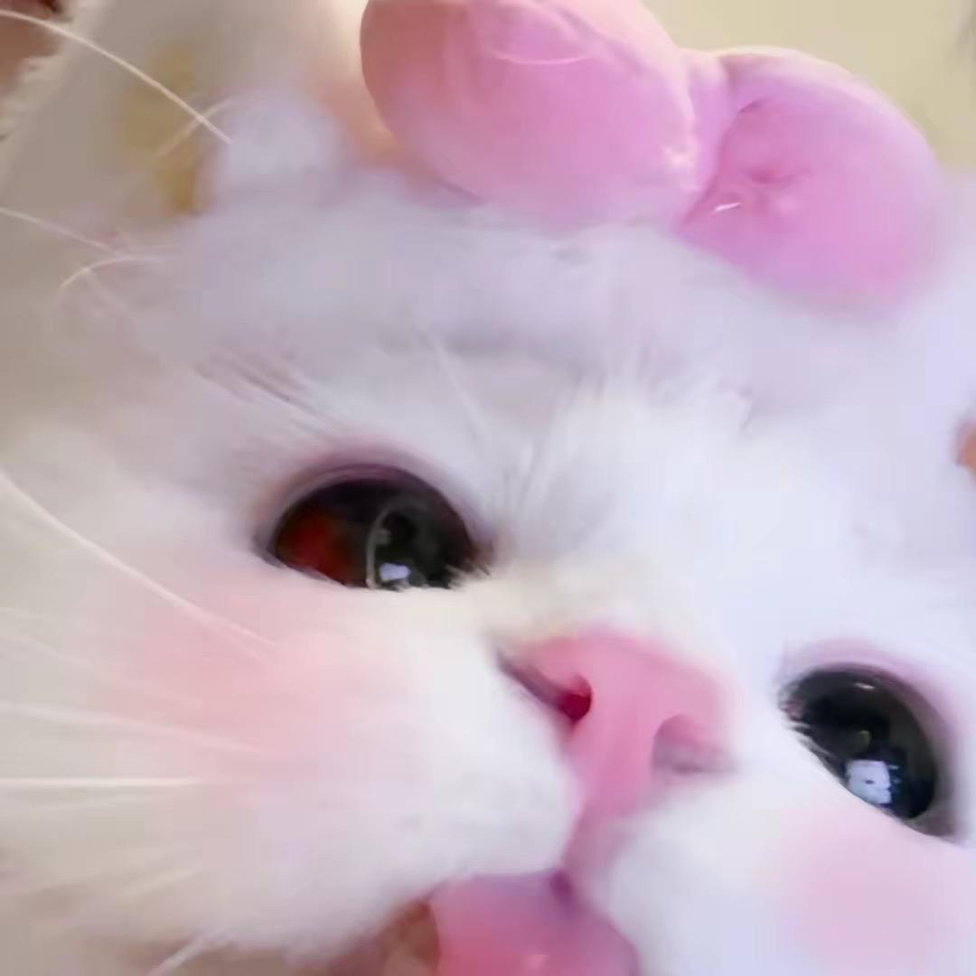 .…