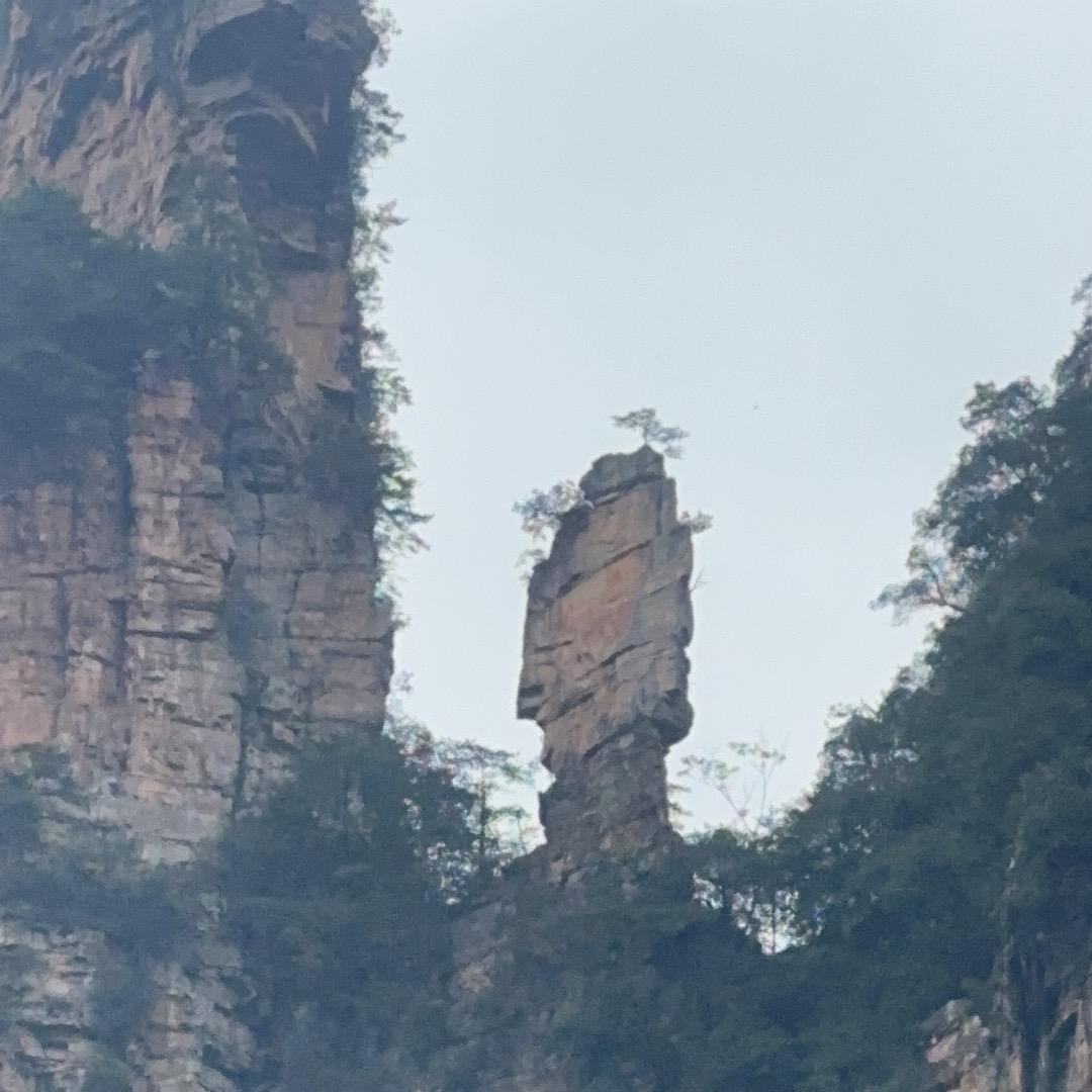 我还是我