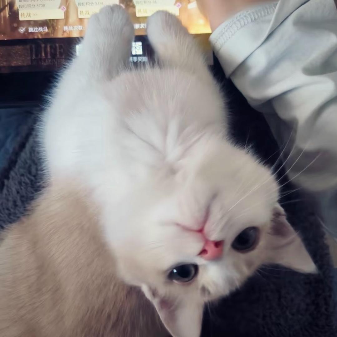 我也不太了解她