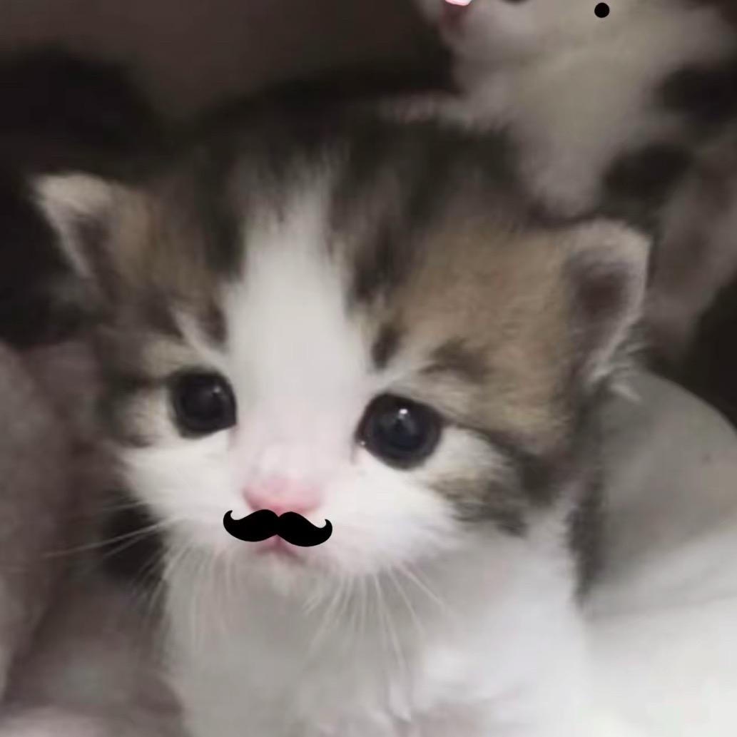 nono
