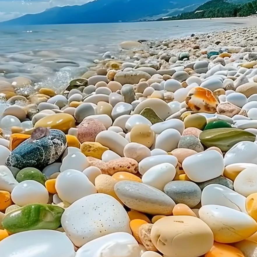 缘分66