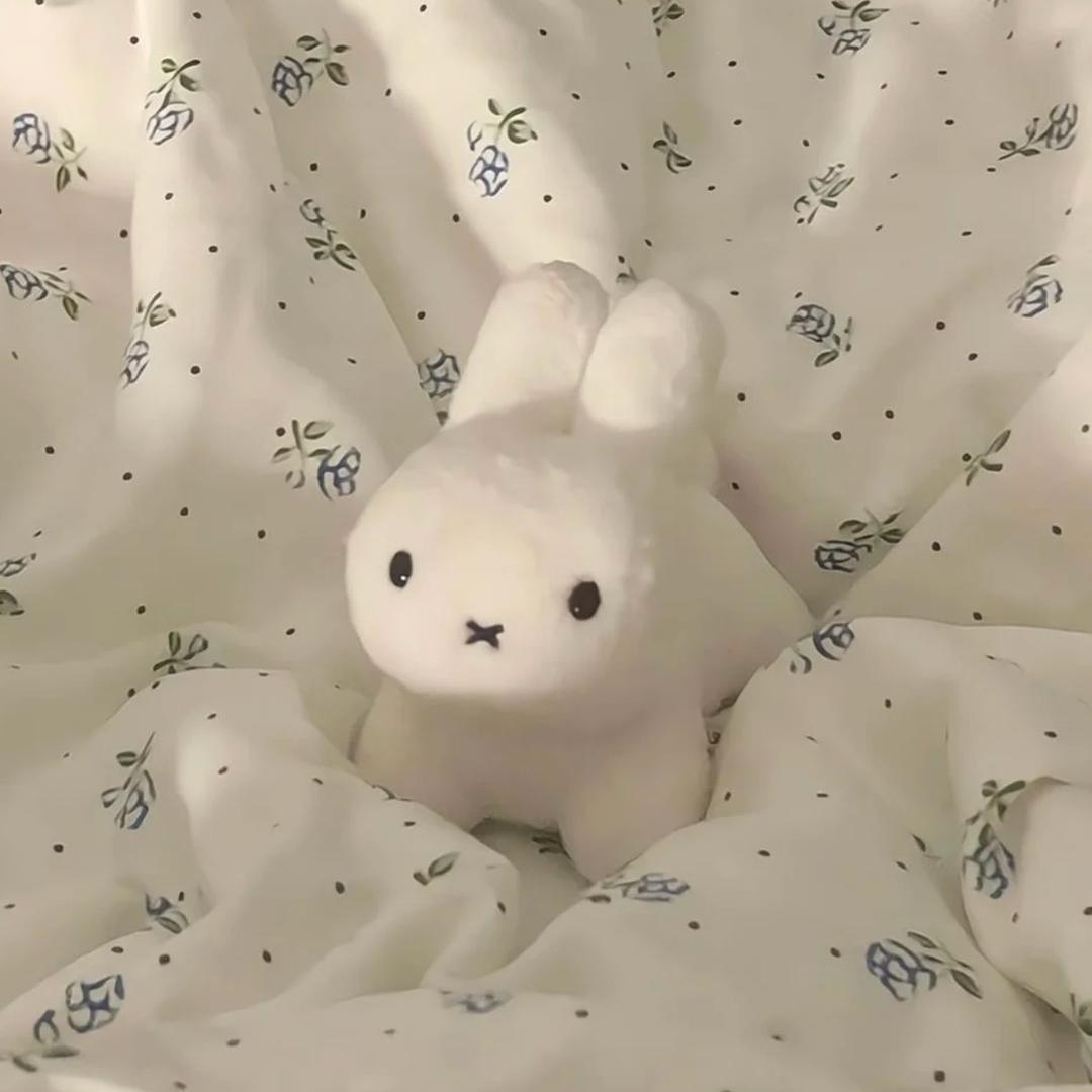 iasstnbvcgjjmm