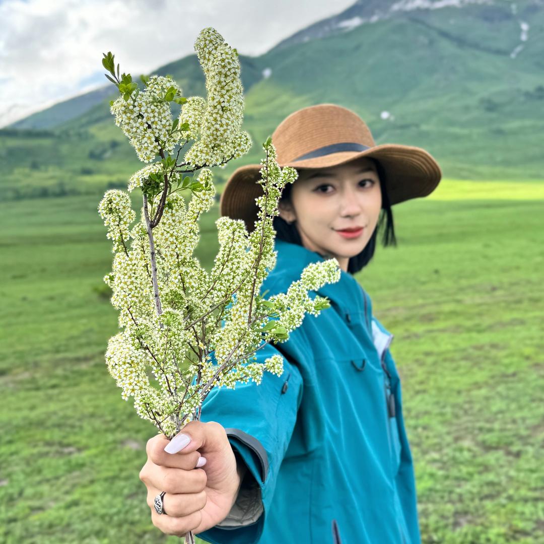 陶陶超爱买