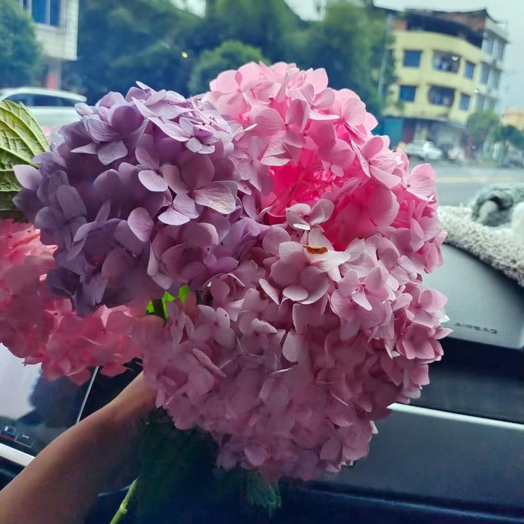 阿静静