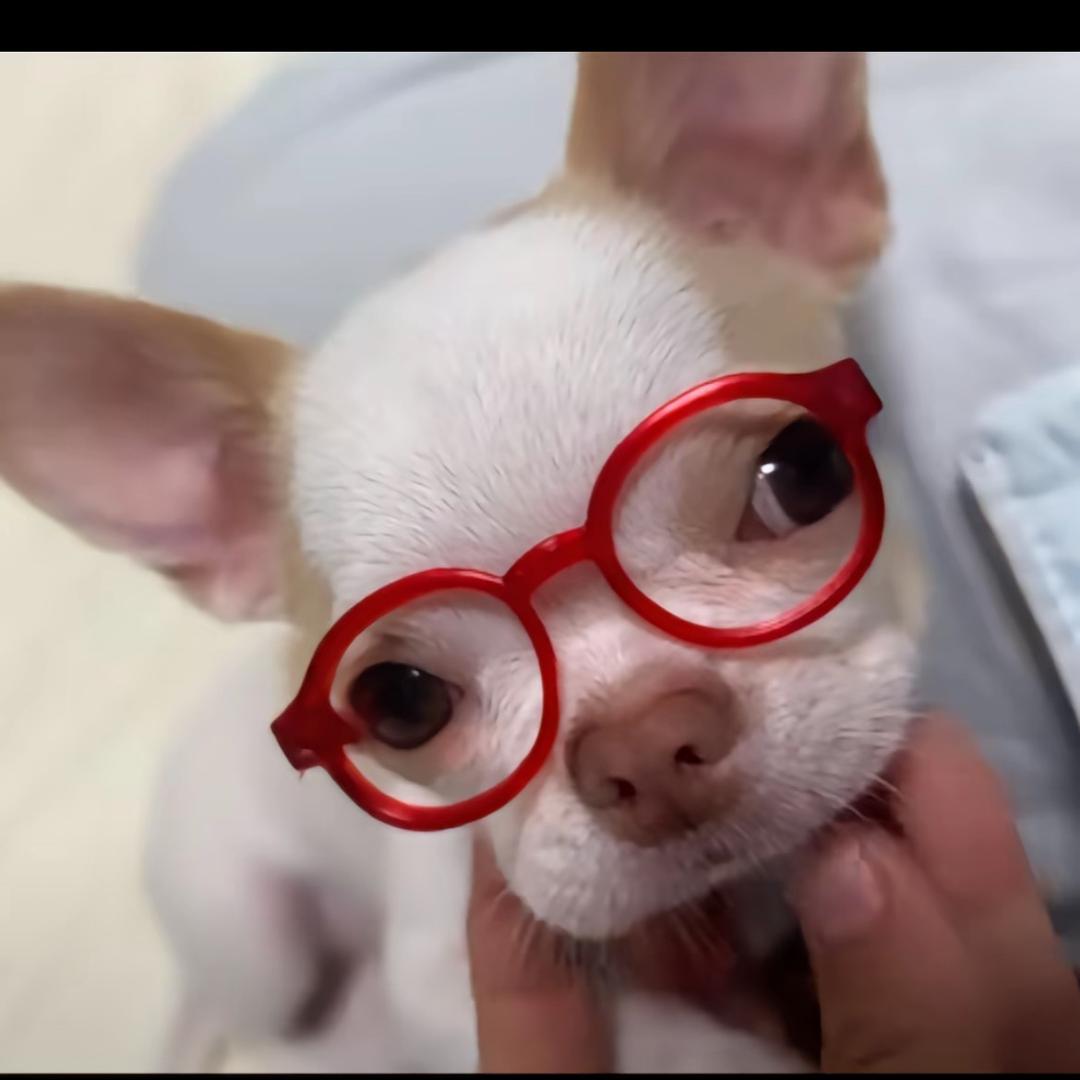 我的烤排骨什么时候好