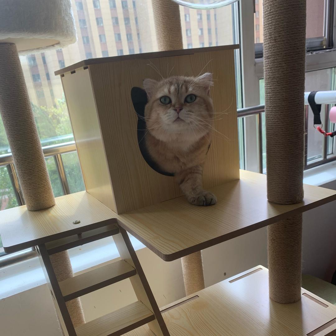 世上没有奥特曼