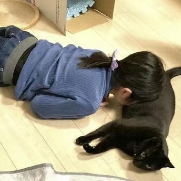 鲨鲨和歪脖子树