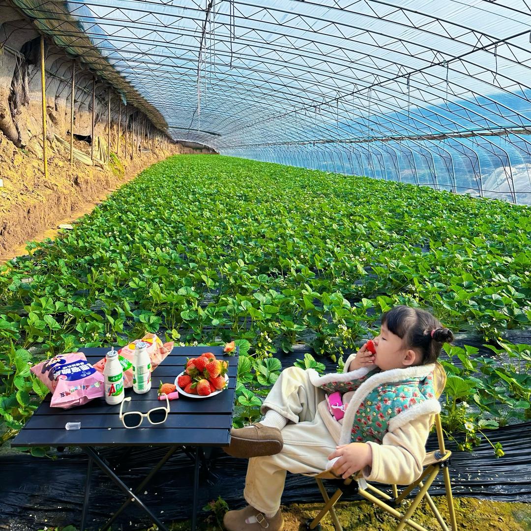 顺平小王卖草莓🍓