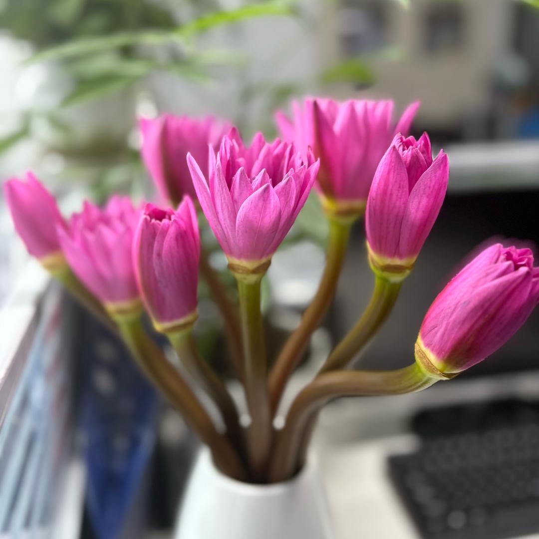 W若是月亮还没来