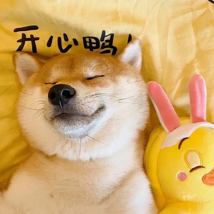小暴龙