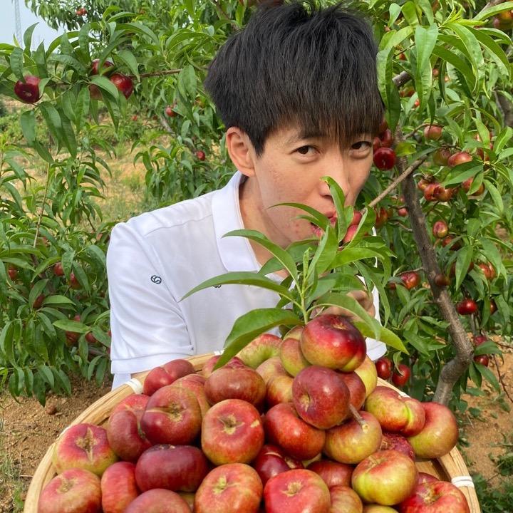八方鲜果(桃子大王）