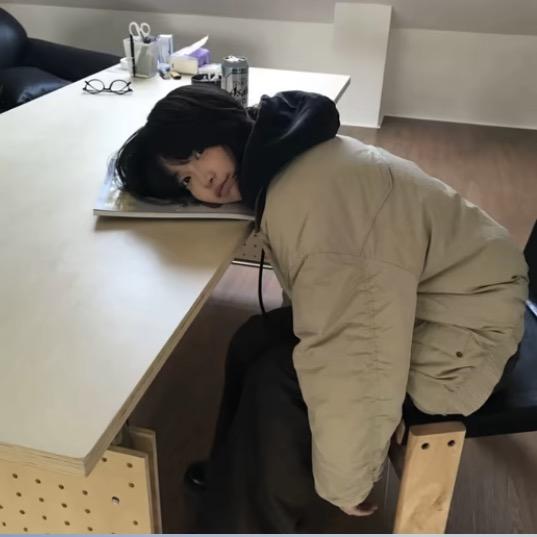 公主殿下的好物
