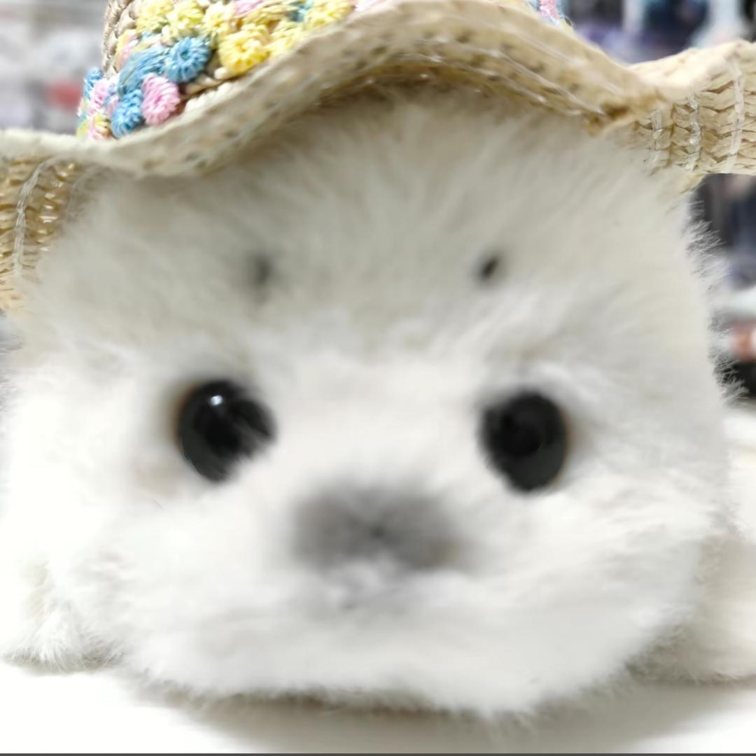 我真的会假装玩sm真的把你往死里打