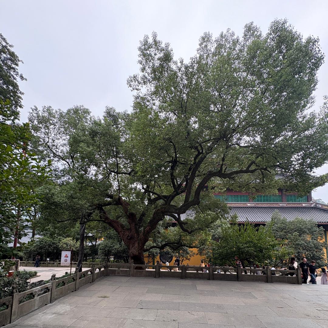 赵@设计装修&施工改造🌅