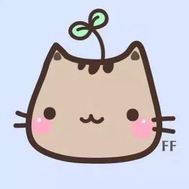 Fan*佳佳佳佳~🐳