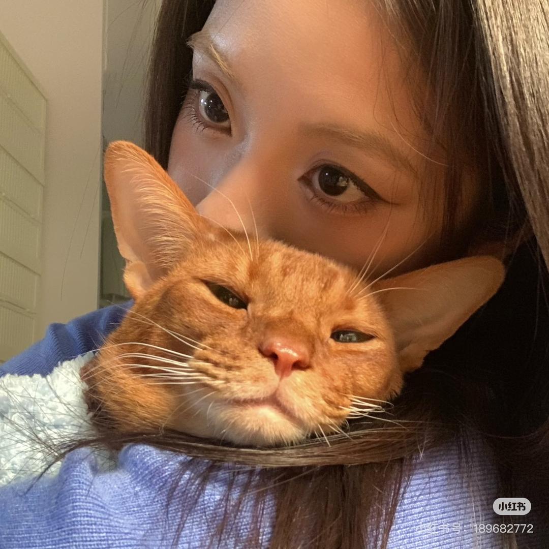 好运滚滚滚滚来来来
