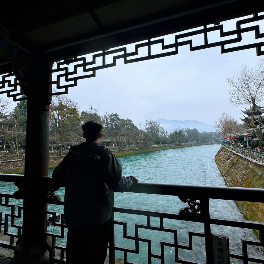 少年的玫瑰