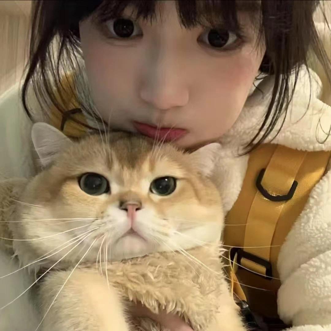 呆呆