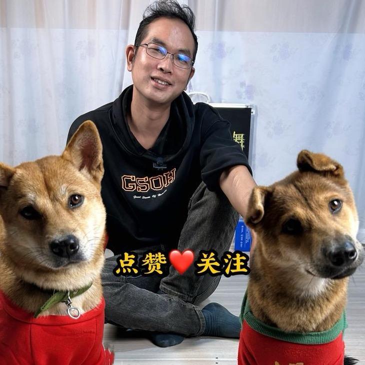 丁眼镜