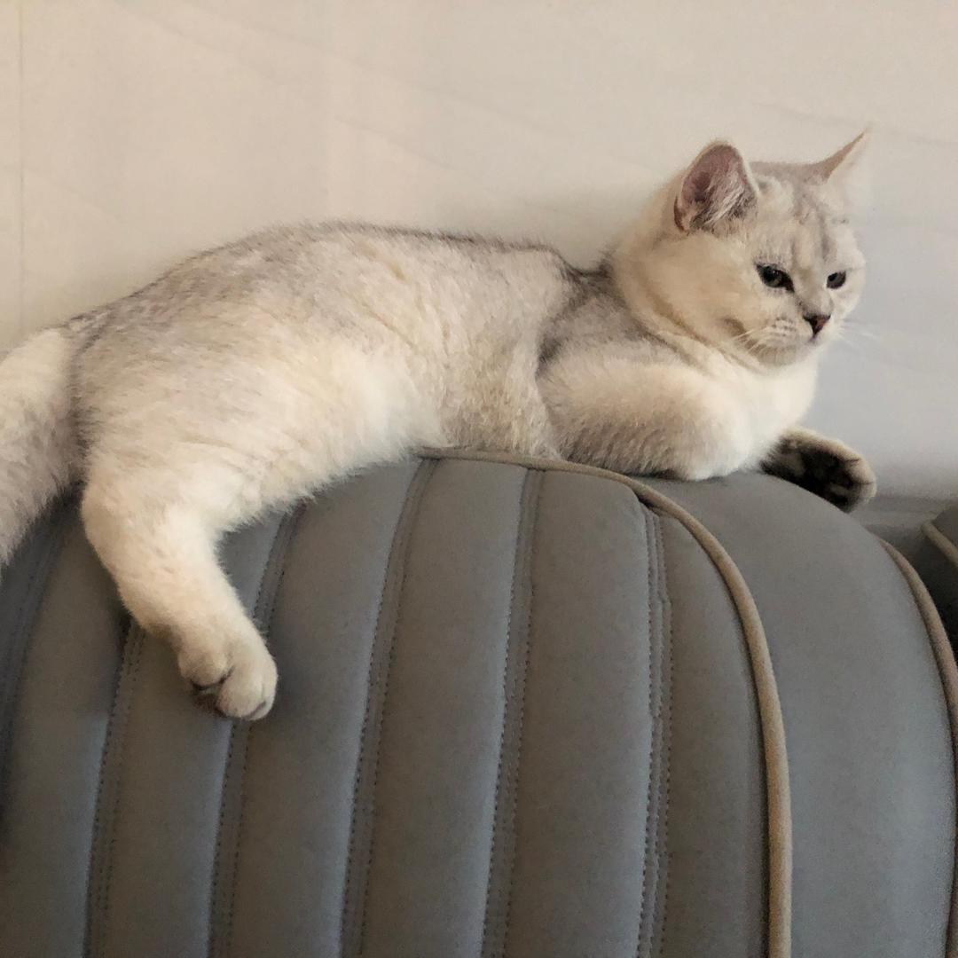 太原西段伍科技有限公司磐直播号