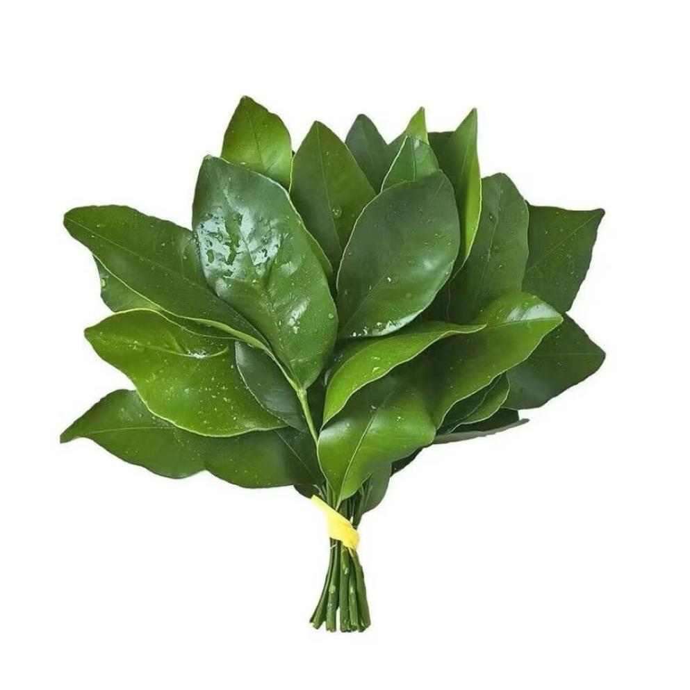 Mx-