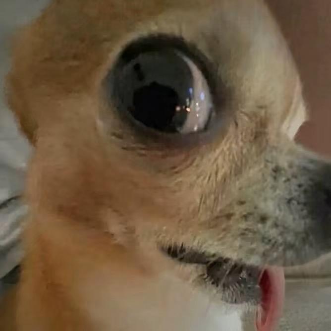 过去