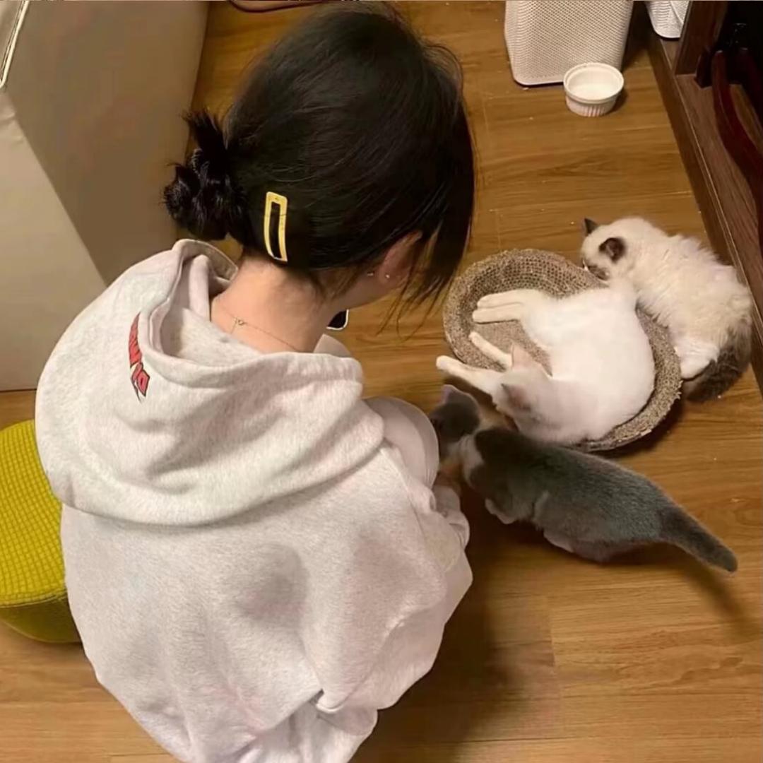 老实点