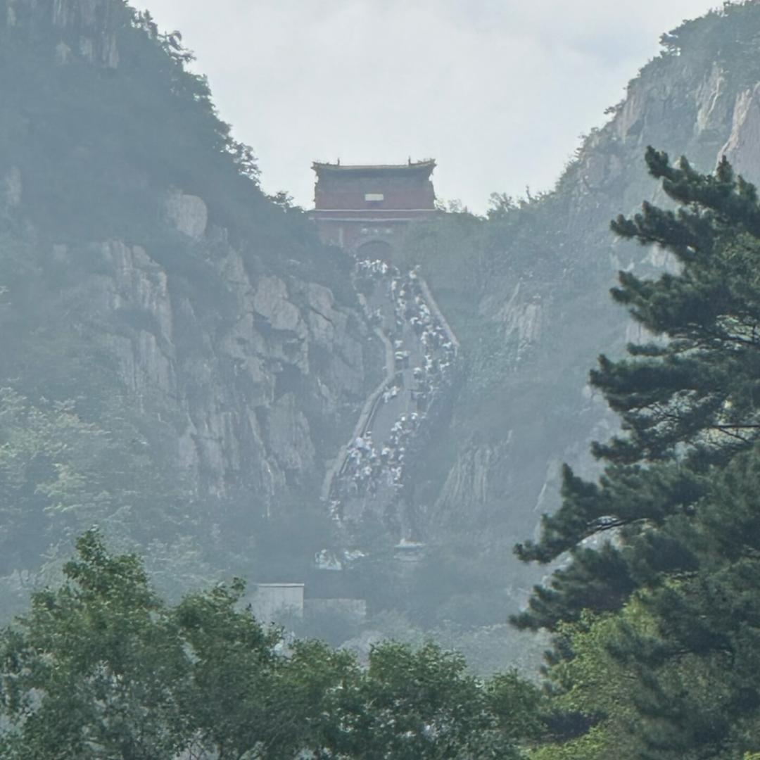 白颠凤管理有限公司