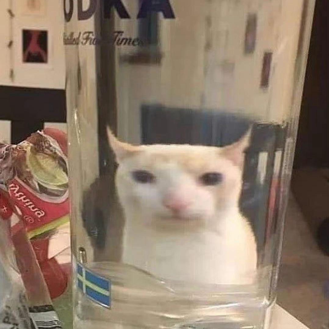 不见明月夜